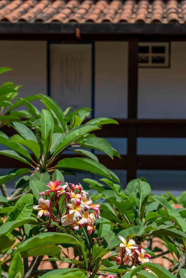 Villa Alexandre Pousada - Trancoso Luaran gambar